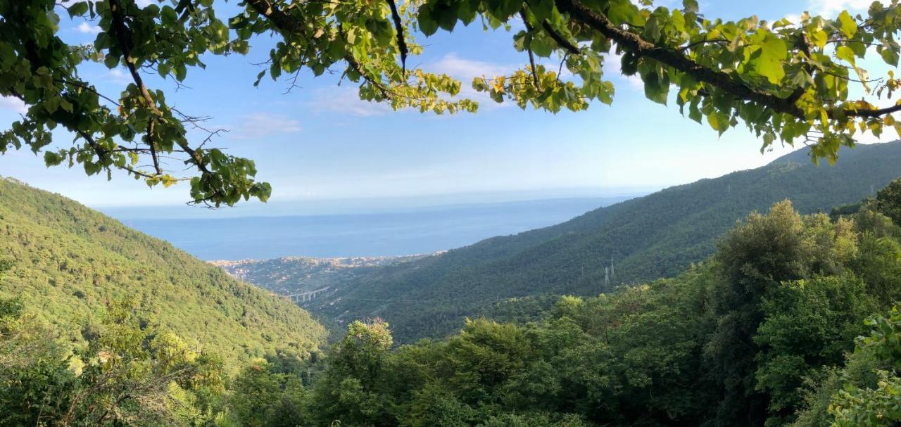 Appartamento Ai Piedi Della Pigna Sanremo Exterior photo